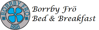 cropped-borrbylogga_f